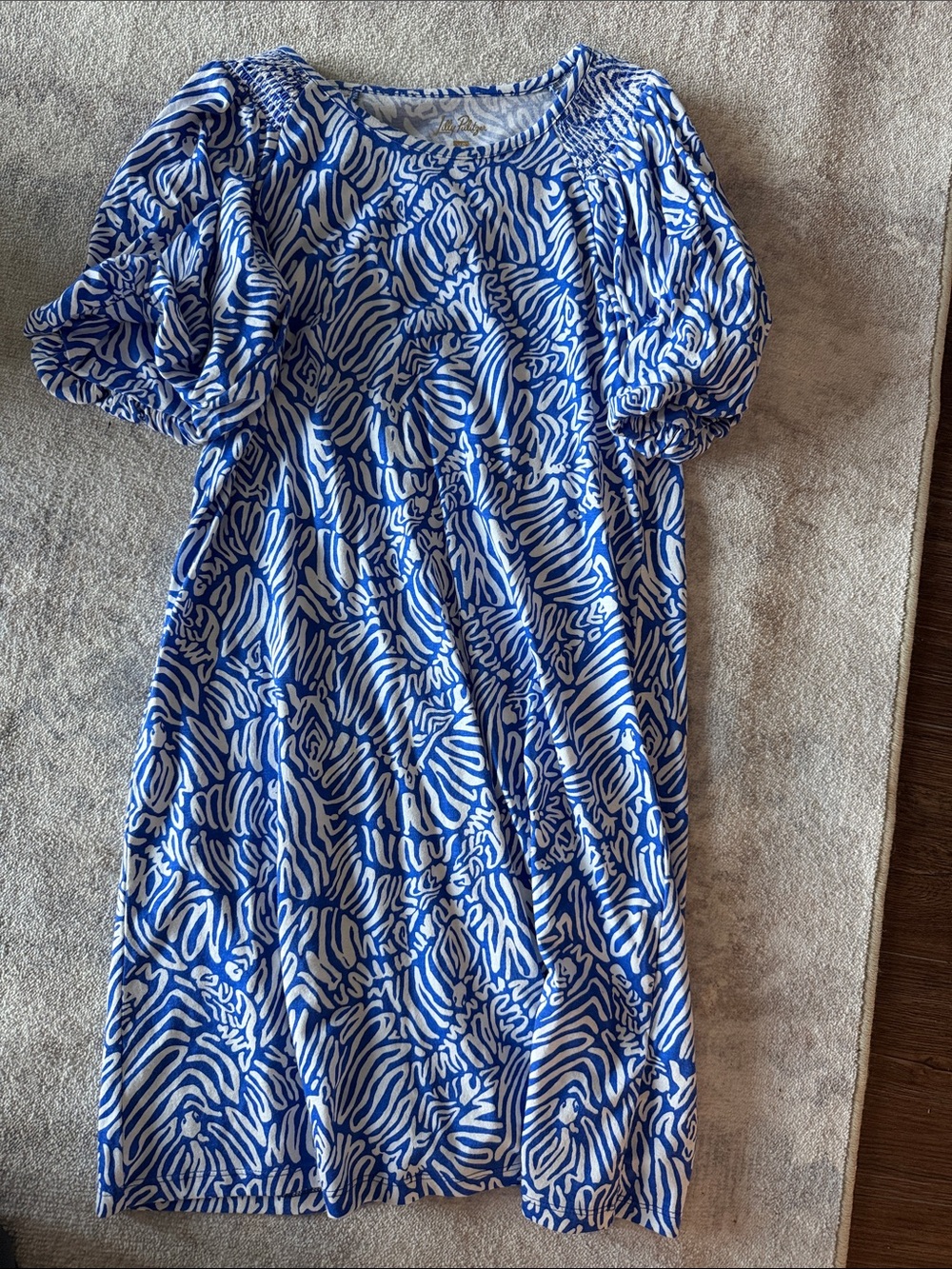 Women’s Blue and White Patterned Dress